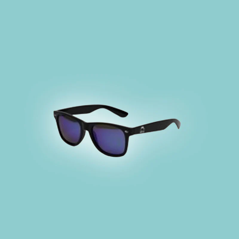 LUNETTES DE SOLEIL HYLA NOIRES